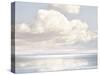 Cloudscape Dream-Paul Duncan-Stretched Canvas