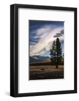 Cloudscape, Epic Lenticular Clouds, Hope Valley California-Vincent James-Framed Photographic Print
