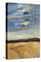Cloudscape I-Bradford Brenner-Stretched Canvas