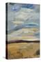 Cloudscape II-Bradford Brenner-Stretched Canvas