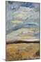 Cloudscape II-Bradford Brenner-Mounted Art Print