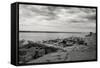 Cloudscape Over Pier With Driftwood B&W-Anthony Paladino-Framed Stretched Canvas