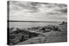 Cloudscape Over Pier With Driftwood B&W-Anthony Paladino-Stretched Canvas