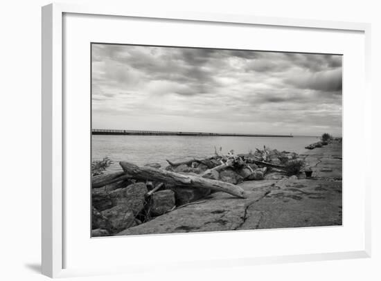 Cloudscape Over Pier With Driftwood B&W-Anthony Paladino-Framed Giclee Print