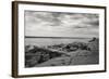 Cloudscape Over Pier With Driftwood B&W-Anthony Paladino-Framed Giclee Print