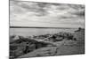 Cloudscape Over Pier With Driftwood B&W-Anthony Paladino-Mounted Giclee Print