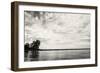 Cloudscape Over Pier With Trees B&W-Anthony Paladino-Framed Giclee Print