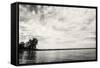 Cloudscape Over Pier With Trees B&W-Anthony Paladino-Framed Stretched Canvas