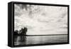 Cloudscape Over Pier With Trees B&W-Anthony Paladino-Framed Stretched Canvas