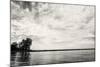 Cloudscape Over Pier With Trees B&W-Anthony Paladino-Mounted Giclee Print