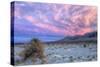 Cloudscape Sunset at Devil's Cornfield, Death Valley-Vincent James-Stretched Canvas