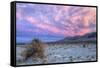 Cloudscape Sunset at Devil's Cornfield, Death Valley-Vincent James-Framed Stretched Canvas