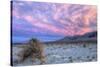 Cloudscape Sunset at Devil's Cornfield, Death Valley-Vincent James-Stretched Canvas