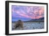 Cloudscape Sunset at Devil's Cornfield, Death Valley-Vincent James-Framed Photographic Print