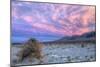 Cloudscape Sunset at Devil's Cornfield, Death Valley-Vincent James-Mounted Photographic Print