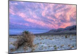 Cloudscape Sunset at Devil's Cornfield, Death Valley-Vincent James-Mounted Photographic Print