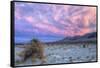 Cloudscape Sunset at Devil's Cornfield, Death Valley-Vincent James-Framed Stretched Canvas