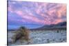Cloudscape Sunset at Devil's Cornfield, Death Valley-Vincent James-Stretched Canvas