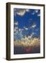 Cloudscape with Sun-Rays Shining through Clouds Just as Sun Appears-Johan Swanepoel-Framed Photographic Print