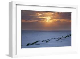Cloudy atmosphere at the sea, Amrum, Schleswig-Holstein, Germany-null-Framed Art Print