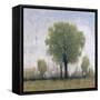 Cloudy Day III-Tim O'toole-Framed Stretched Canvas