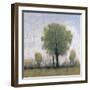 Cloudy Day III-Tim O'toole-Framed Giclee Print