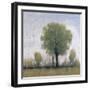 Cloudy Day III-Tim O'toole-Framed Giclee Print