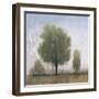 Cloudy Day IV-Tim O'toole-Framed Giclee Print