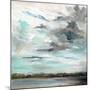 Cloudy Days Don’t Get Me Down-Carol Hallock-Mounted Art Print