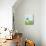 Cloudy Light I Green-Melissa Averinos-Mounted Art Print displayed on a wall