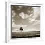 Cloudy Skies Sq III-Alan Hausenflock-Framed Photographic Print