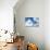 Cloudy Sky-null-Photographic Print displayed on a wall