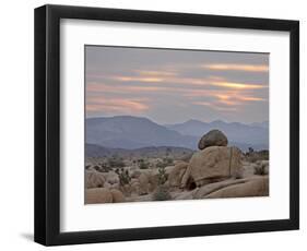 Cloudy Sunrise, Joshua Tree National Park, California, United States of America, North America-James Hager-Framed Photographic Print