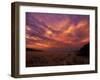 Cloudy Sunrise, Kaokoland, Namibia-Tony Heald-Framed Photographic Print