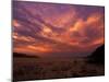 Cloudy Sunrise, Kaokoland, Namibia-Tony Heald-Mounted Photographic Print