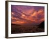 Cloudy Sunrise, Kaokoland, Namibia-Tony Heald-Framed Photographic Print