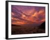 Cloudy Sunrise, Kaokoland, Namibia-Tony Heald-Framed Photographic Print