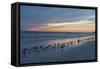 Cloudy Sunset on Crescent Beach, Siesta Key, Sarasota, Florida, USA-Bernard Friel-Framed Stretched Canvas