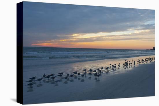 Cloudy Sunset on Crescent Beach, Siesta Key, Sarasota, Florida, USA-Bernard Friel-Stretched Canvas