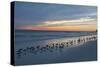 Cloudy Sunset on Crescent Beach, Siesta Key, Sarasota, Florida, USA-Bernard Friel-Stretched Canvas