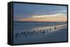 Cloudy Sunset on Crescent Beach, Siesta Key, Sarasota, Florida, USA-Bernard Friel-Framed Stretched Canvas