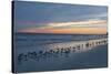 Cloudy Sunset on Crescent Beach, Siesta Key, Sarasota, Florida, USA-Bernard Friel-Stretched Canvas