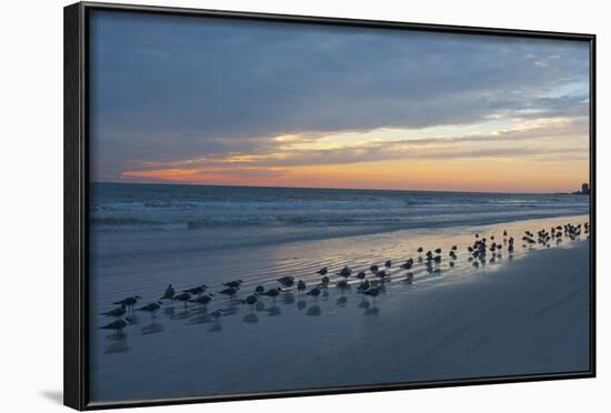 Cloudy Sunset on Crescent Beach, Siesta Key, Sarasota, Florida, USA-Bernard Friel-Framed Photographic Print