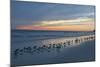 Cloudy Sunset on Crescent Beach, Siesta Key, Sarasota, Florida, USA-Bernard Friel-Mounted Photographic Print