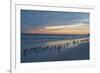 Cloudy Sunset on Crescent Beach, Siesta Key, Sarasota, Florida, USA-Bernard Friel-Framed Photographic Print