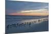 Cloudy Sunset on Crescent Beach, Siesta Key, Sarasota, Florida, USA-Bernard Friel-Mounted Photographic Print