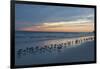 Cloudy Sunset on Crescent Beach, Siesta Key, Sarasota, Florida, USA-Bernard Friel-Framed Photographic Print