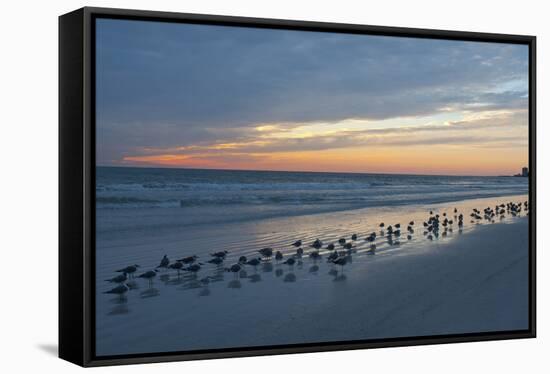 Cloudy Sunset on Crescent Beach, Siesta Key, Sarasota, Florida, USA-Bernard Friel-Framed Stretched Canvas