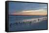 Cloudy Sunset on Crescent Beach, Siesta Key, Sarasota, Florida, USA-Bernard Friel-Framed Stretched Canvas