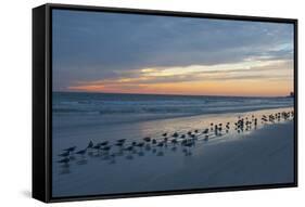 Cloudy Sunset on Crescent Beach, Siesta Key, Sarasota, Florida, USA-Bernard Friel-Framed Stretched Canvas